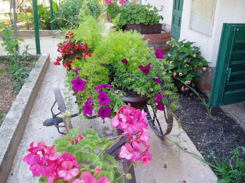 Apartments Nada Vodice Exterior photo